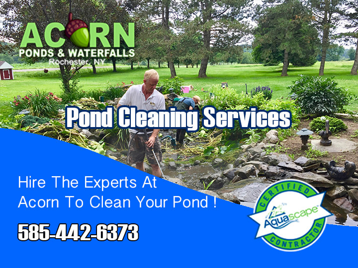 Pond Maintenance-Repair Contractors- Rochester (NY) - Acorn Ponds & Waterfalls
