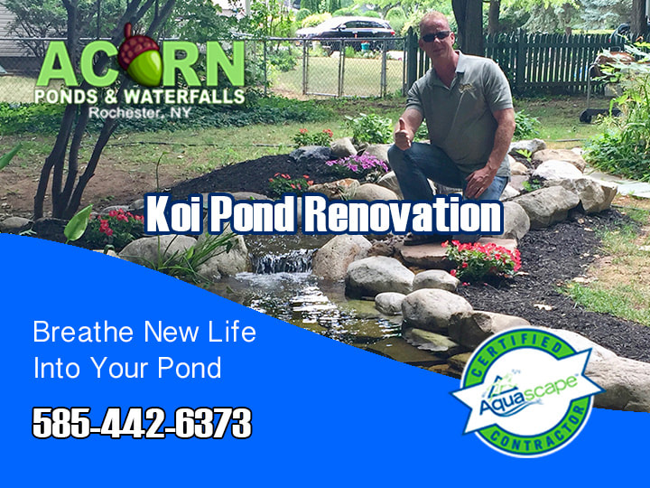 Pond Renovation & Leak Detection (Repair) Services 585-442-6373